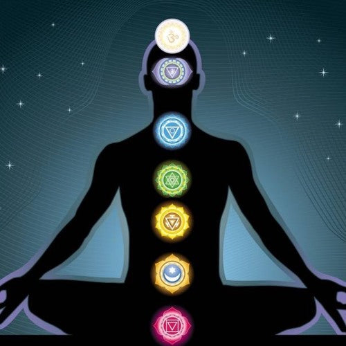 [Funny Yoga Quotes] Chakra Flow | 5to9style