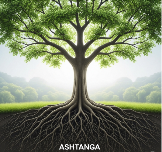 The Primary Series in Ashtanga Yoga: Understanding the Foundations - 5To9Style