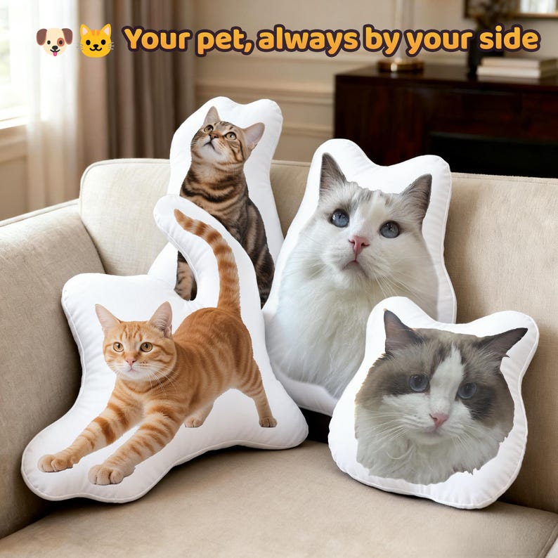 Pets
