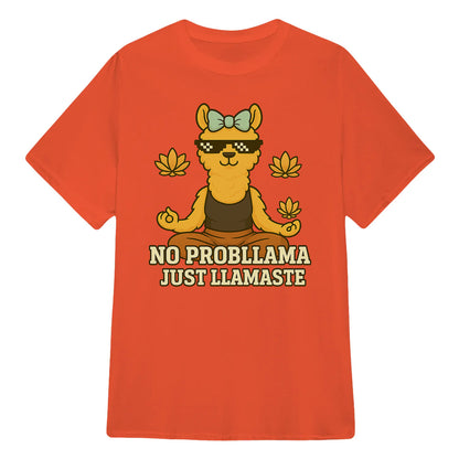 No Probllamaa Just Llamaste Chill Llama Yoga Classic Unisex T-Shirt | 5To9Style