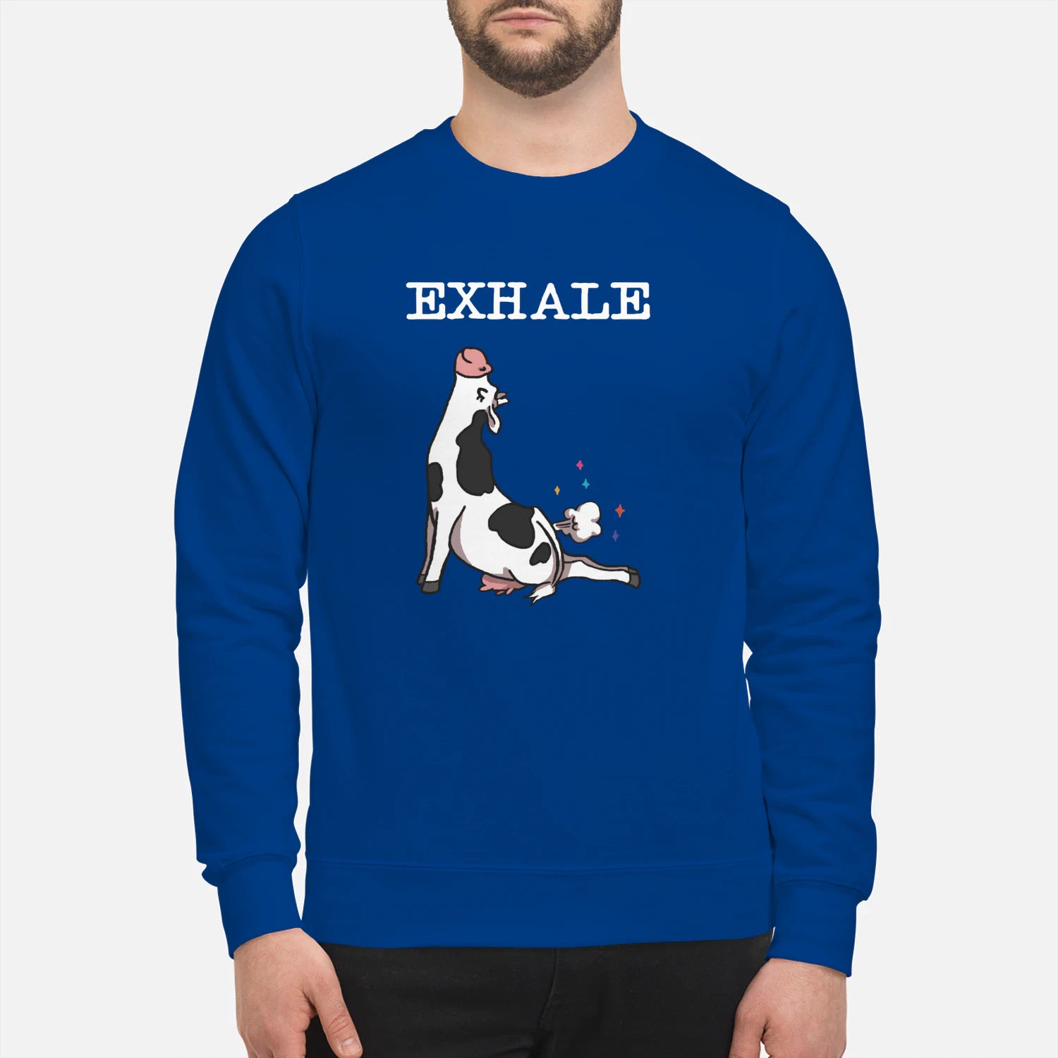 {"colors":["Royal Blue","Royal Blue","Royal Blue","Royal Blue","Royal Blue","Royal Blue"],"sizes":["3XL","2XL","XL","L","M","S"],"isMainImage":false}