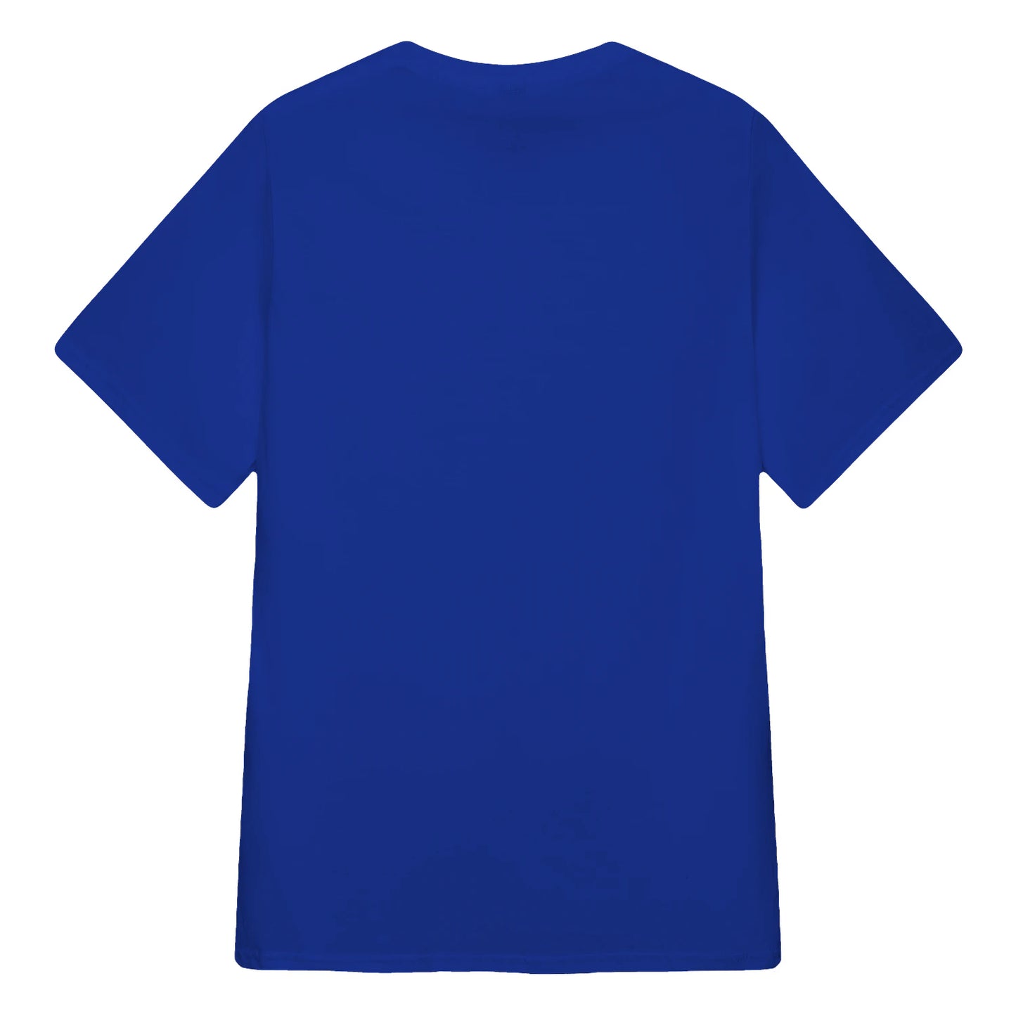 {"colors":["True Royal","True Royal","True Royal","True Royal","True Royal"],"sizes":["2XL","XL","L","M","S"],"isMainImage":false}